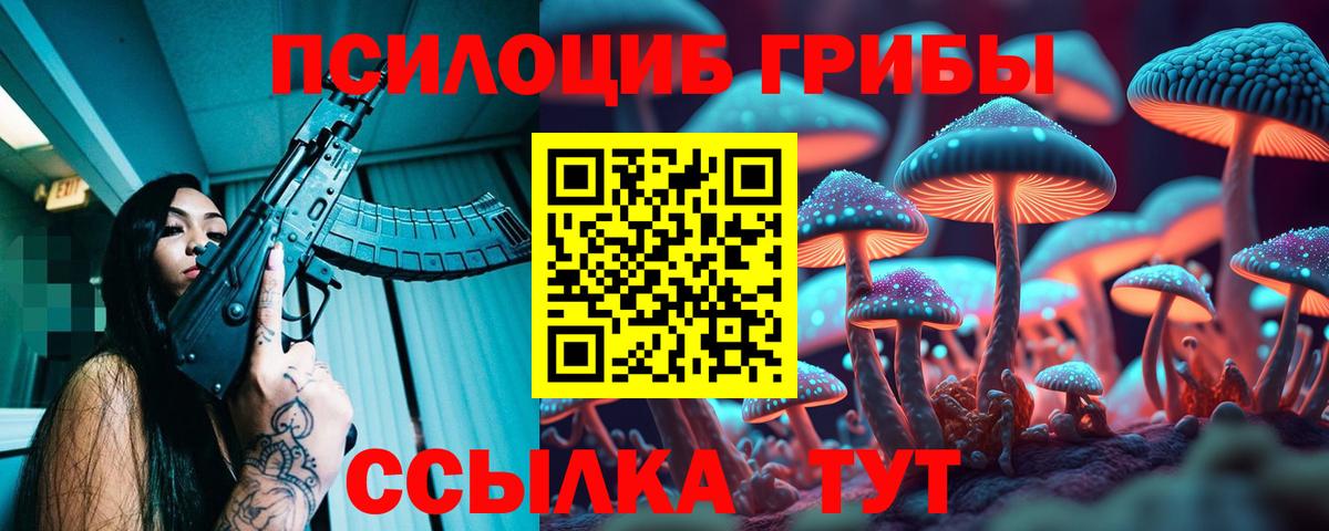 Галлюциногенные грибы мицелий  Вход с VPN  Петрозаводск 